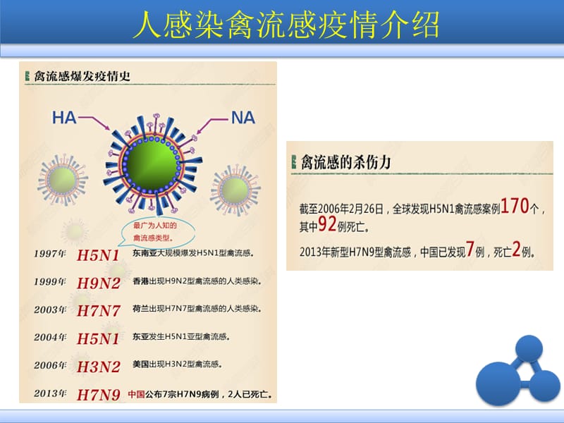 企业H7N9禽流感预防宣导.ppt_第2页