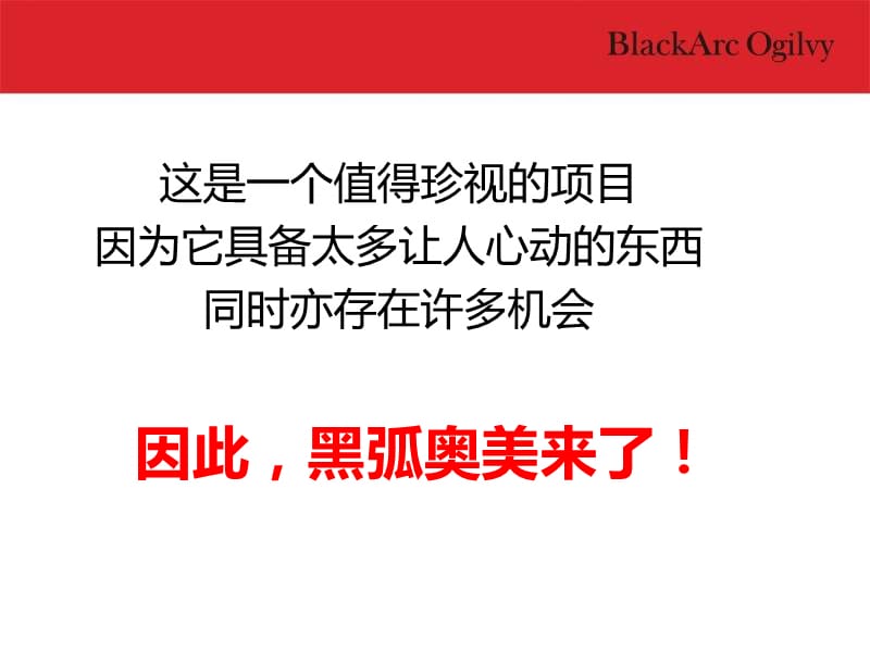 海南博鳌千舟湾三期独栋别墅推广策略 2010-110页.ppt_第2页