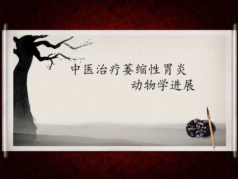 慢性萎缩.ppt_第1页