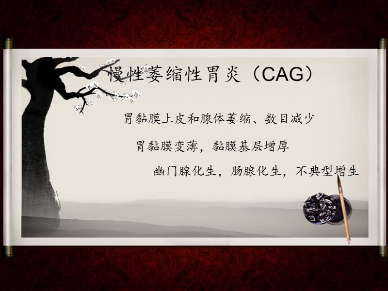 慢性萎缩.ppt_第2页