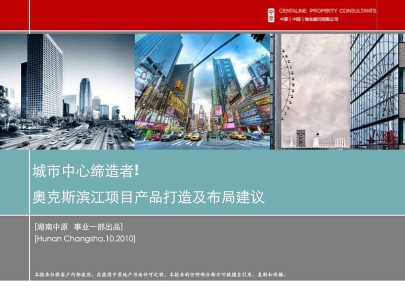 深圳中原报告-湖南奥克斯广场物业建议.ppt.ppt_第1页