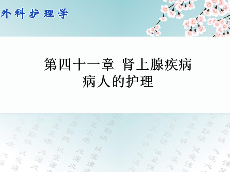 第四十一章_肾上腺疾病病人的护理.ppt_第1页