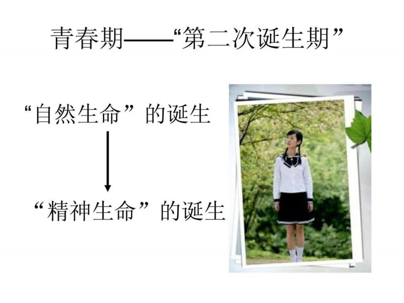 让高雅的阅读替代电子娱乐.ppt_第3页