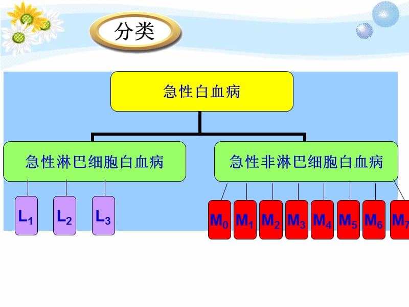 急性白血病护理查房.ppt_第3页