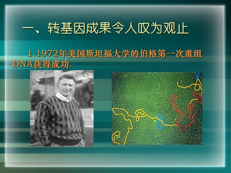 专题生物技术安全性和伦理问题.ppt_第2页