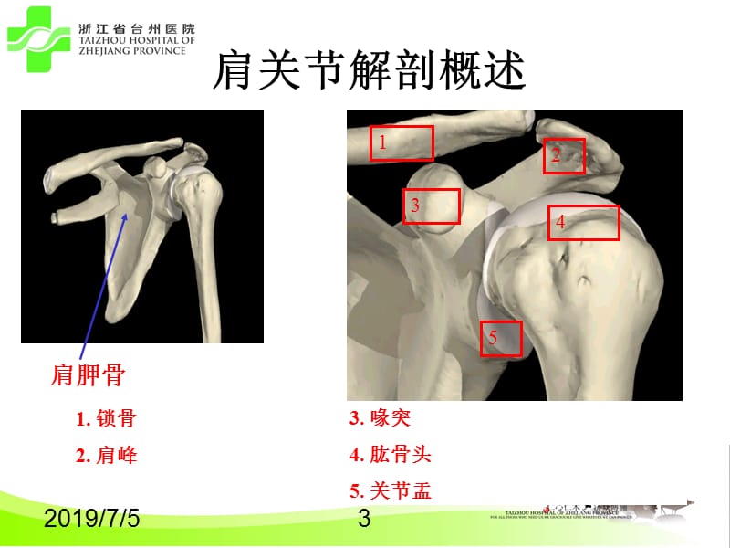 肩关节损伤影像学评估.ppt_第3页