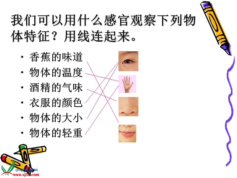 青岛版小学科学《怎样认识物体》PPT课件.ppt_第2页