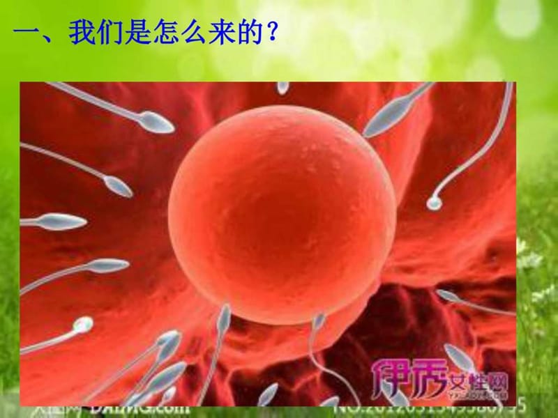 青春期生理卫生知识讲座--女生篇(新)_图文.ppt.ppt_第3页