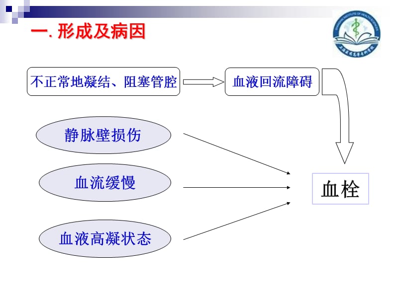 骨科大手术后深静脉血栓的护理1.ppt_第3页