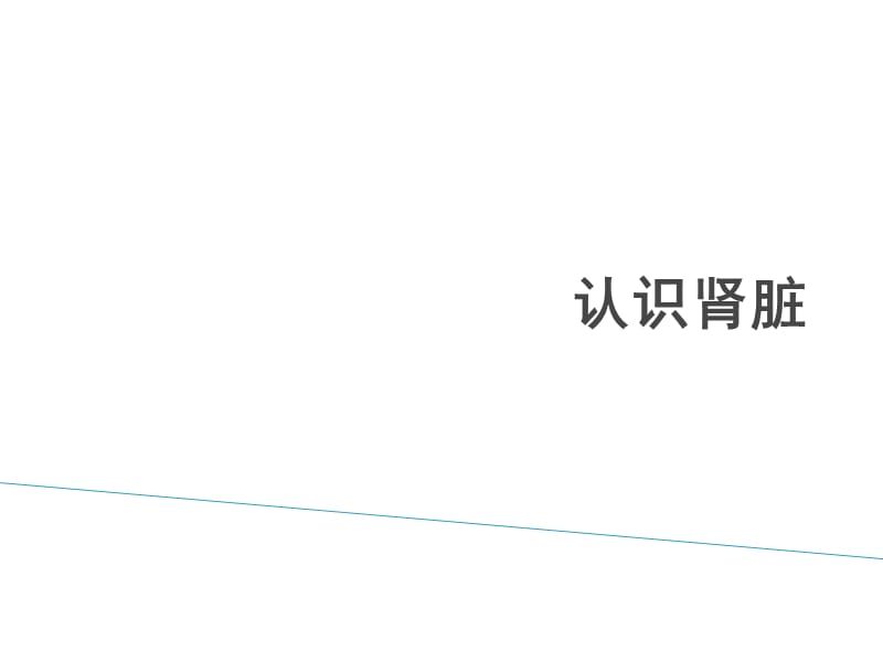 认识肾脏.ppt_第1页