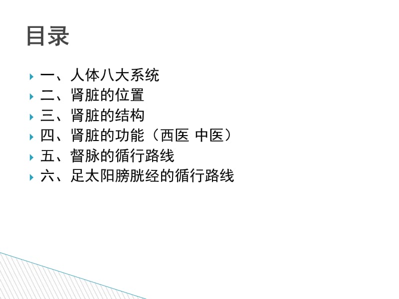 认识肾脏.ppt_第2页