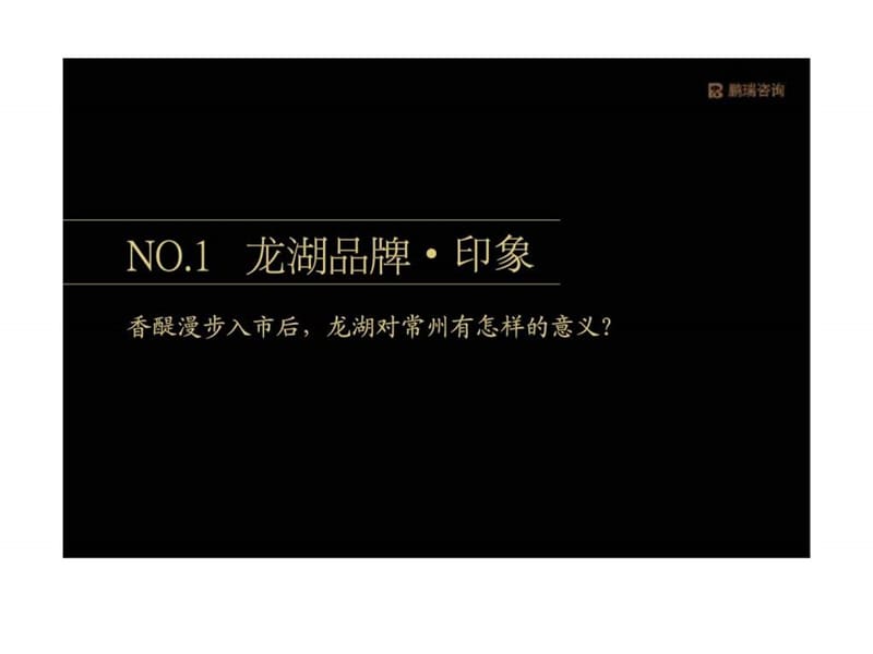 龙湖东经120项目2010年度营销策略提案.ppt_第3页