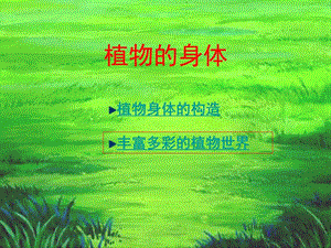 青岛版小学科学四年级上册《植物的身体》精品课件.ppt