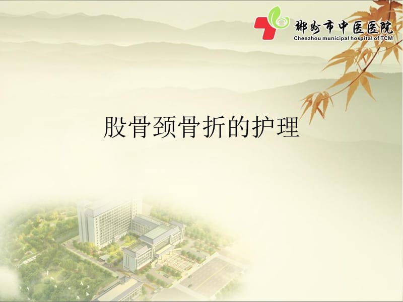 股骨颈骨折的护理(中西结合完整版).ppt_第1页