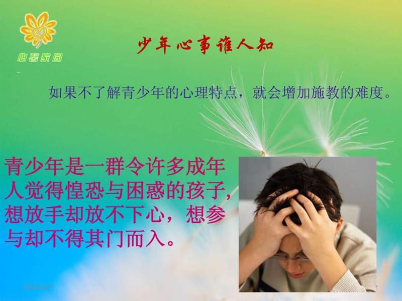 青少年常见精神疾病及相关知识.ppt.ppt_第2页