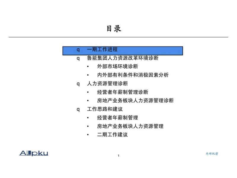 鲁能集团人力资源管理诊断报告终稿.ppt_第2页