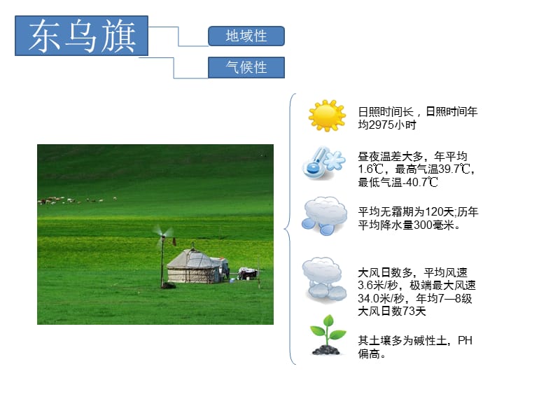 东乌旗街道绿化设计图.ppt_第3页