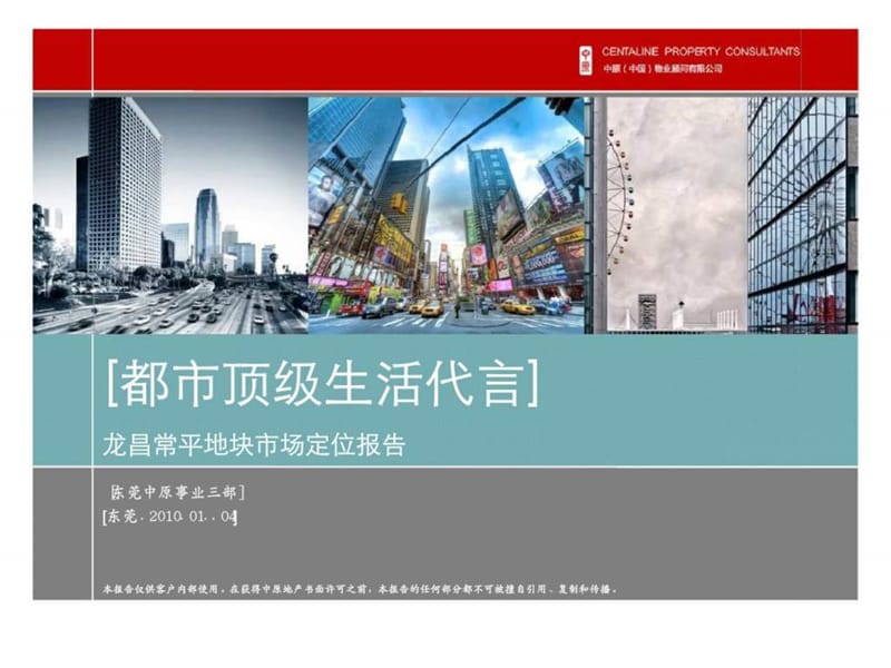 东莞龙昌常平地块项目城市综合体市场定位研究报告.ppt_第2页