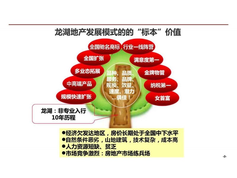 龙湖企业管理及运营精细化管理_智库文档.ppt_第3页