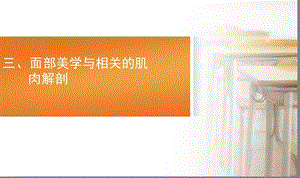 美容培训课件——面部美学与相关的肌肉解剖.ppt