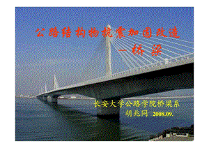 [精彩]公路结构物抗震加固改革-桥梁03.ppt