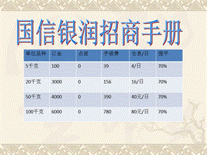 国信银润招商代理.ppt