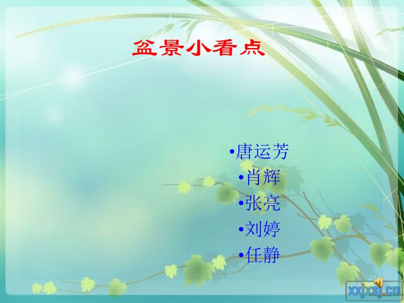 为多年生常绿藤本观叶植物。.ppt_第1页