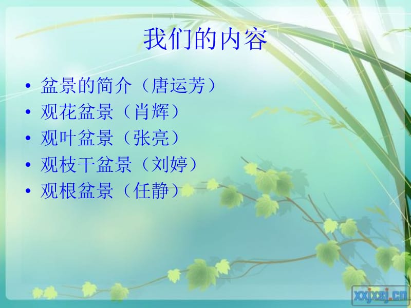 为多年生常绿藤本观叶植物。.ppt_第2页