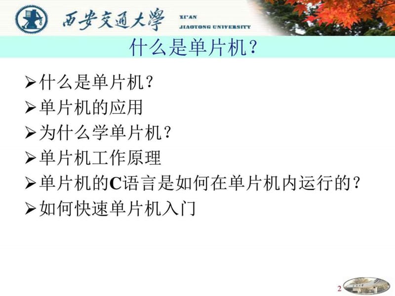 单片机基础.ppt_第2页