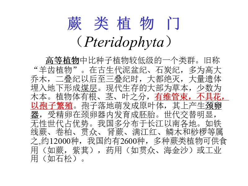 【生物课件】第五章 蕨类植物.ppt_第3页