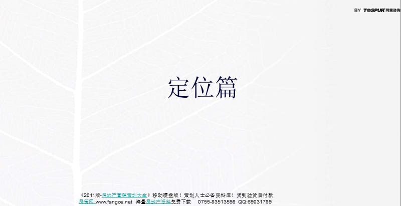 上海漓江山水项目三期营销策划报告_253页_2010年.ppt_第2页