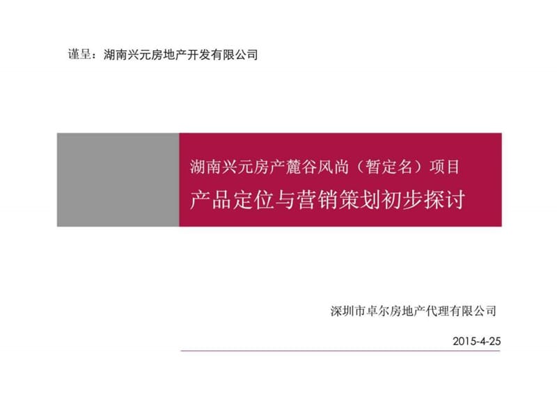 2013年湖南兴元房产麓谷风尚高层宜居生活城项目产品定位与营销策划前期策划.ppt_第1页