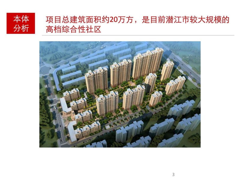 都市华府营销报告_图文.ppt.ppt_第3页