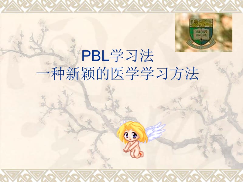 PBL 学习法一种新颖的医学学习方法.ppt_第1页