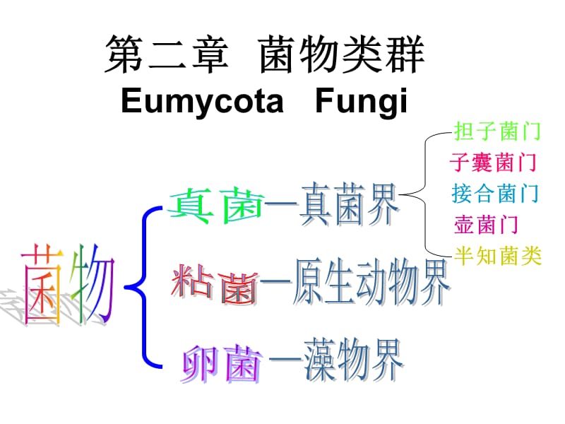 02第二章菌物类群担子菌-2011.ppt_第1页