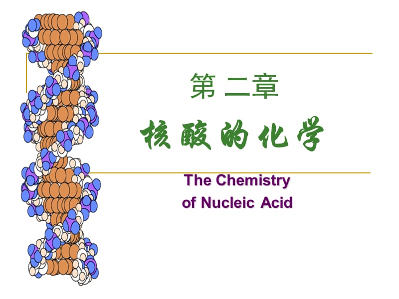 二核酸的化学.ppt_第1页