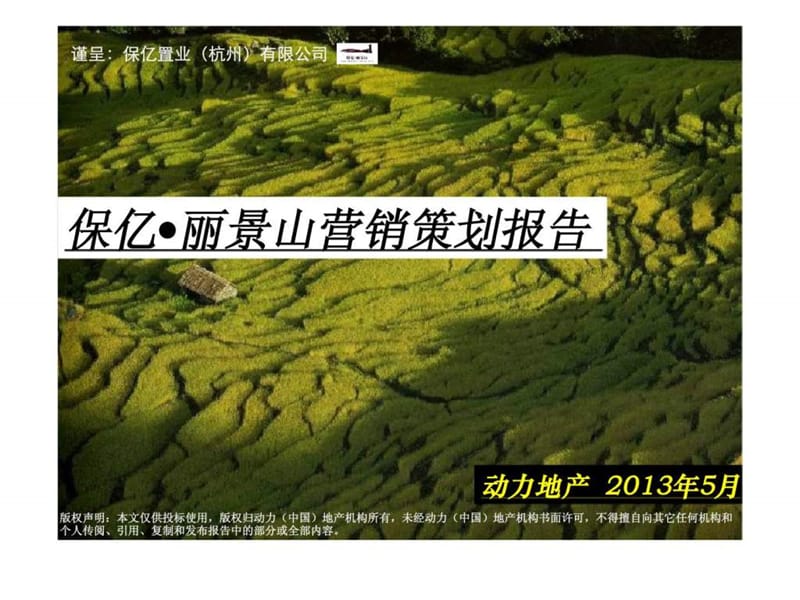 2013年5月杭州保亿丽景山营销策划报告.ppt_第1页