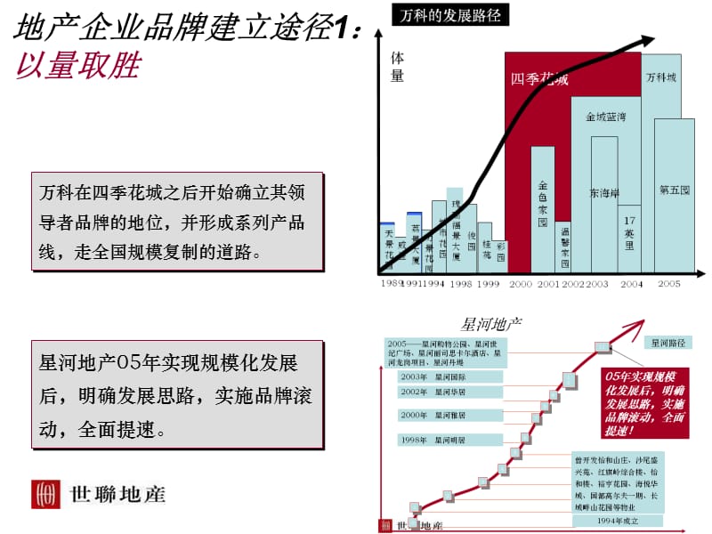 世联深圳坂雪岗商业街项目前期策划.ppt_第3页