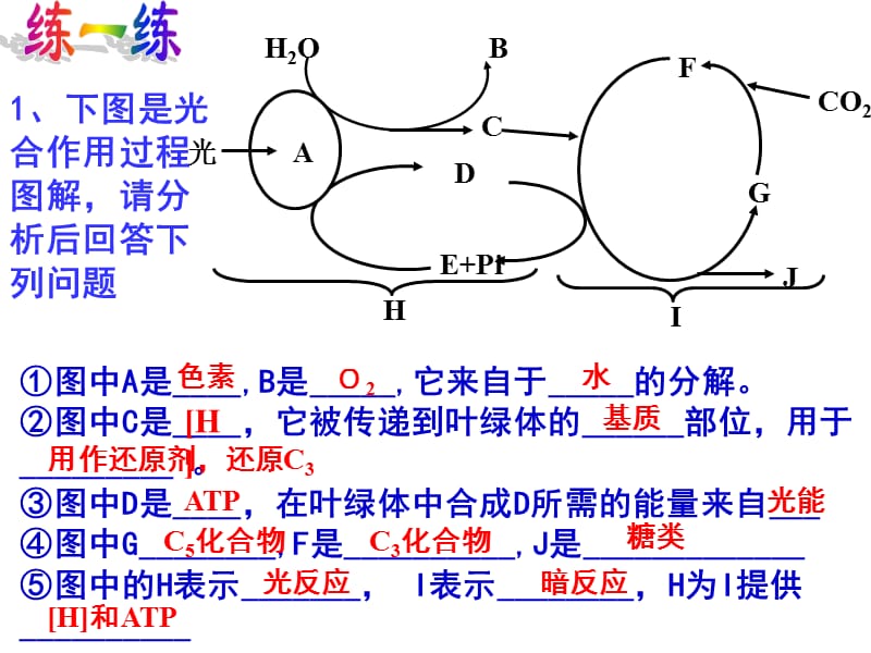 大家来练练吧ppt课件.ppt_第2页