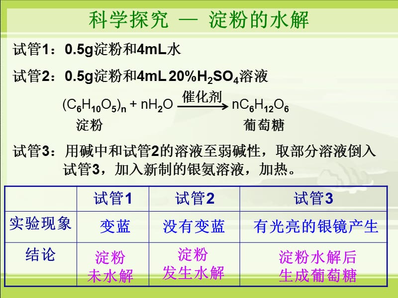 二淀粉是如何消化的.ppt_第2页