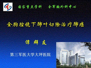 全胸腔镜下肺叶切除治疗肺癌.ppt