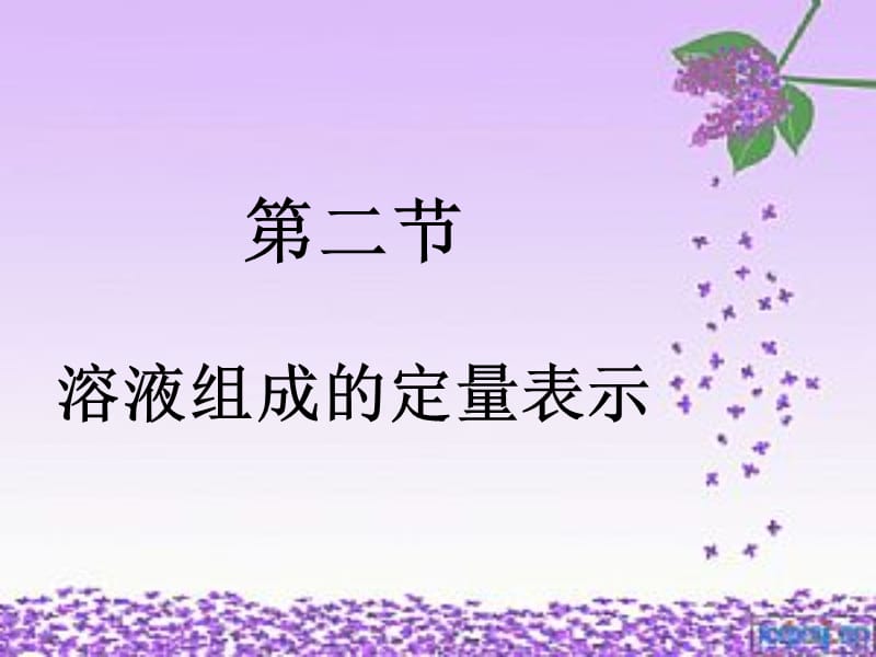 二节溶液组成的定量表示.ppt_第2页