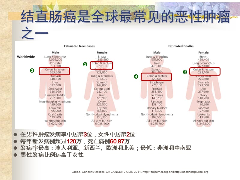 晚期肠癌化疗优化选择.ppt_第2页