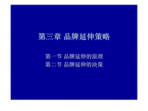 广告实施与策略第三章品牌延伸策略.ppt