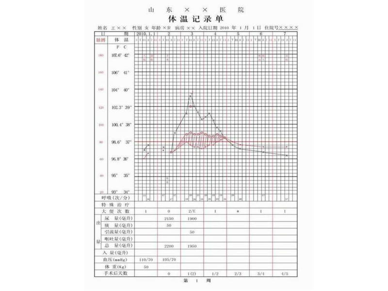 护理文书书写基本要求和格式解读.ppt_第3页