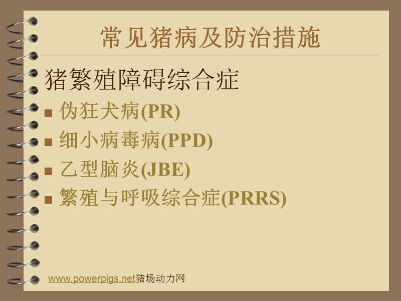 常见猪病及防治措施一.ppt_第3页