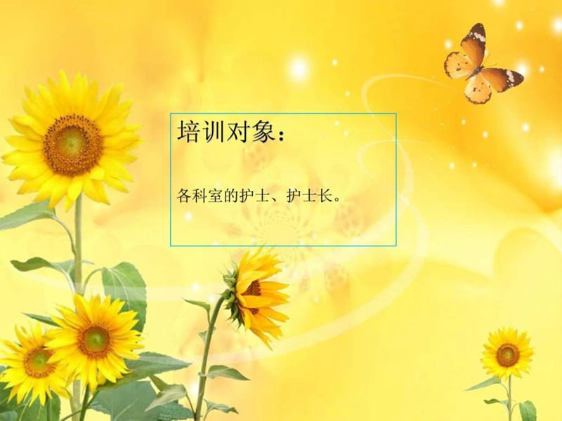 护士职业素养培训课件.ppt_第2页