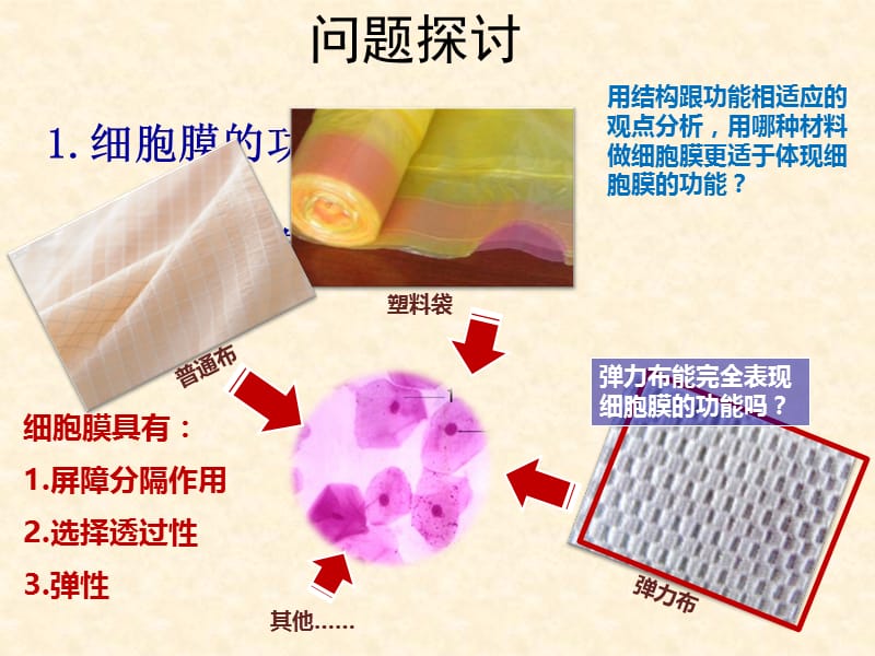 生物生物膜的流动镶嵌模型课件1人教版必修1.ppt_第2页