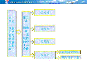 必修第二单元第二讲细胞器系统内的分工与合作.ppt