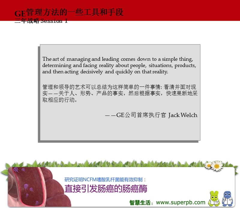 全球学习的GE管理2.ppt_第3页